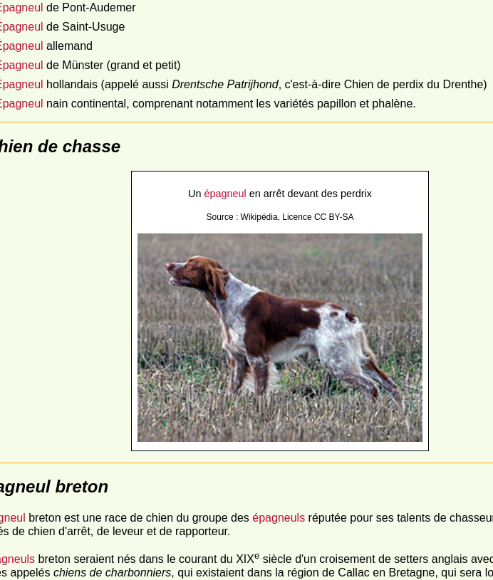 Capture d’écran d’une partie de la page avec les mots « épagneul » en couleur