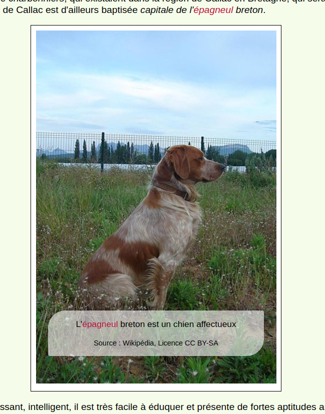 Capture d’écran de l’image avec sa légende