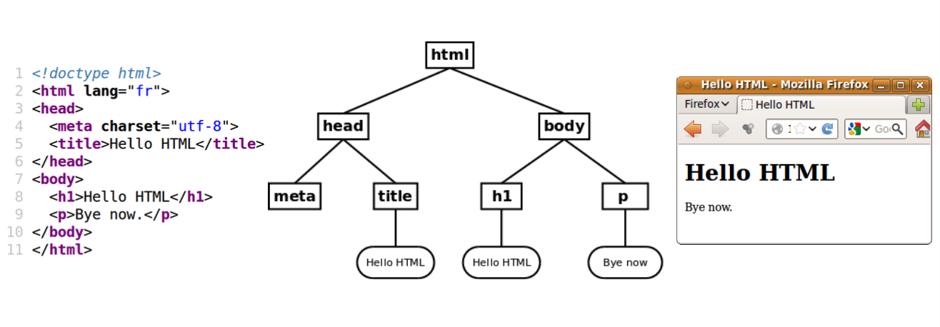 Du HTML au DOM puis la vue