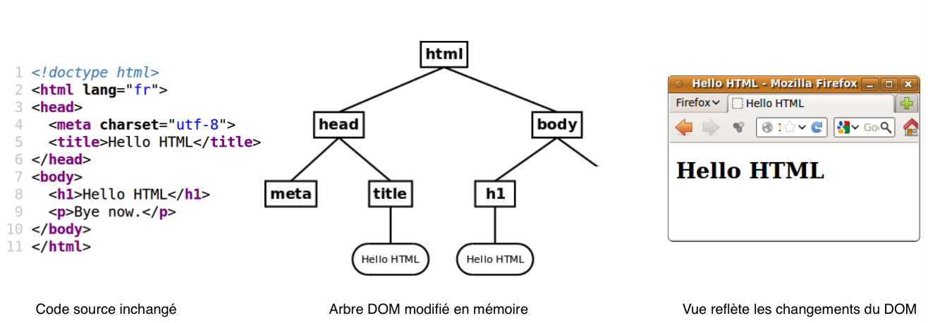 Modification du DOM reflétée dans la vue